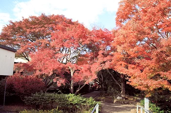 宇治市源氏物語ミュージアムの風景