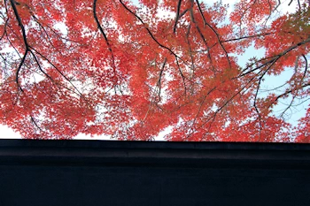 宇治市源氏物語ミュージアムの風景