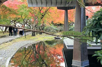 宇治市源氏物語ミュージアムの風景