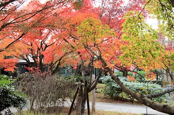 宇治市源氏物語ミュージアムの風景