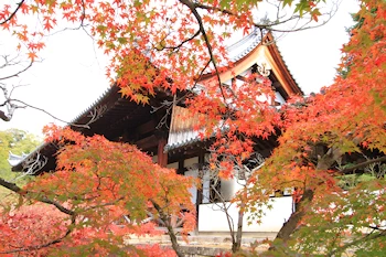 萬福寺天王殿の風景