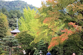 三室戸寺の画像