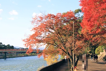川沿いの紅葉の風景