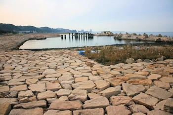 せんなん里海公園の画像
