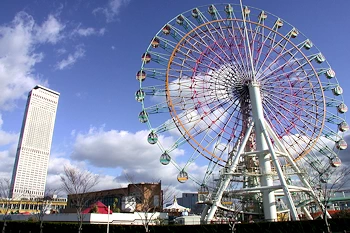 りんくうパパラの画像