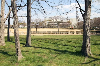 中央公園の画像