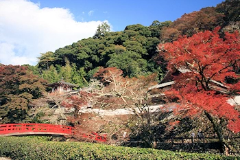 箕面公園の画像
