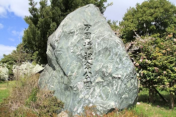 万博記念公園の風景