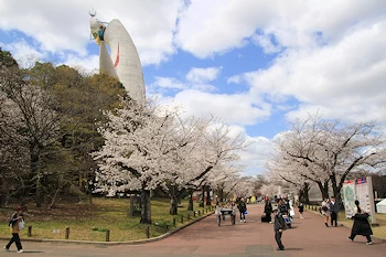 万博記念公園の風景