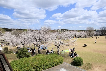 万博記念公園の風景