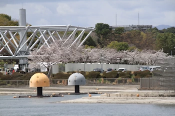 万博記念公園の風景