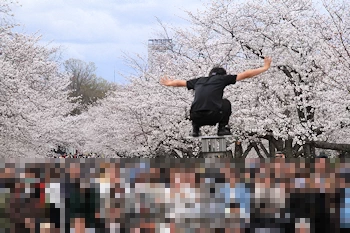 万博記念公園の風景