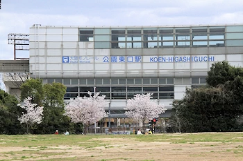 万博記念公園の風景