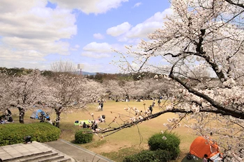 万博記念公園の風景