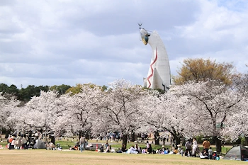 万博記念公園の風景