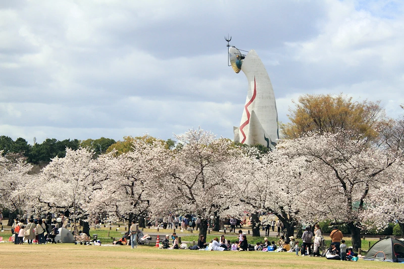 万博記念公園の風景