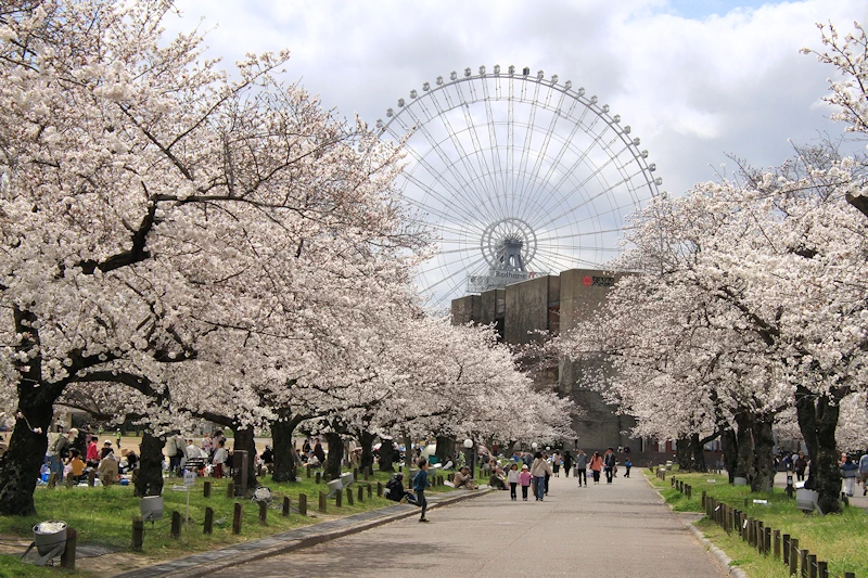 万博記念公園の風景