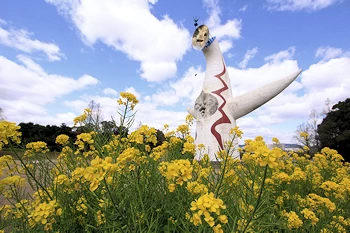 万博記念公園の風景