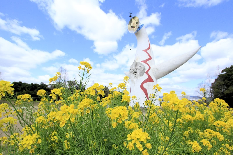 万博記念公園の風景