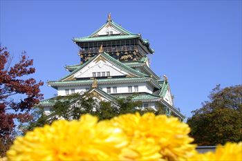 大阪城の風景