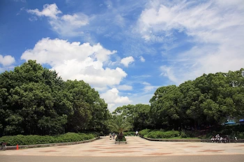 大泉緑地の画像