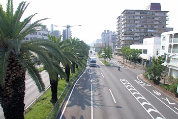 フェニックス通りの画像