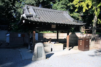 離宮の水の画像