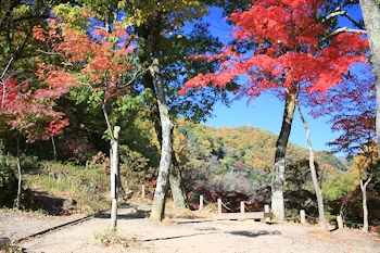摂津峡公園の画像