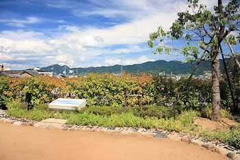 じないまち展望広場の画像