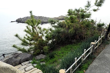 大石名残の松の画像