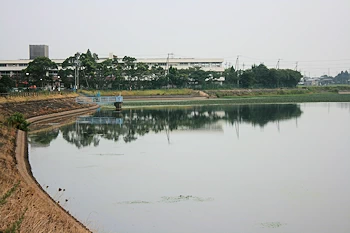 東はりま水辺の里公園の画像