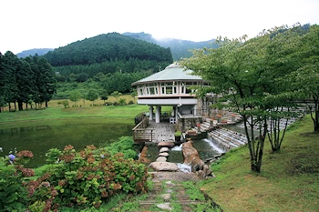 ヨーデルの森の画像