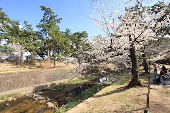 夙川公園・夙川河川敷緑地の風景
