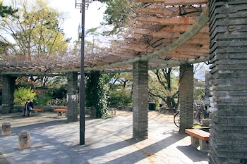 夙川公園・夙川河川敷緑地の風景