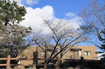 夙川公園・夙川河川敷緑地の風景