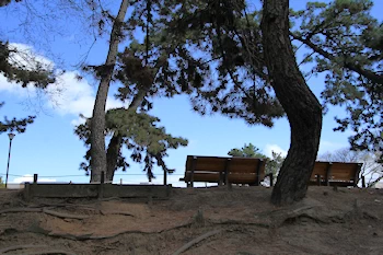 夙川公園・夙川河川敷緑地の風景