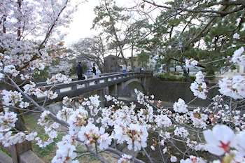 夙川公園・夙川河川敷緑地の風景