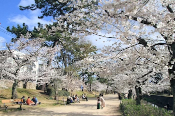 夙川公園・夙川河川敷緑地の風景