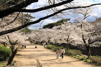 夙川公園・夙川河川敷緑地の風景