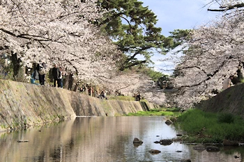 夙川公園・夙川河川敷緑地の風景
