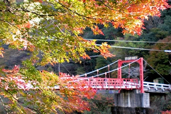 武田尾温泉の画像