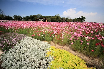 ならフェアの画像