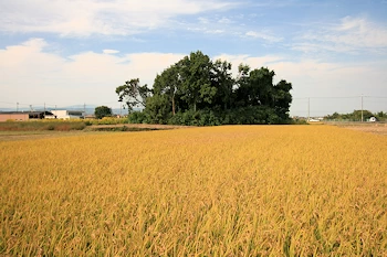 ひょうたん山古墳の画像