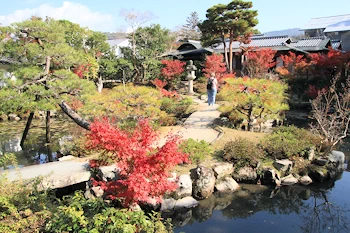 前園その2の風景