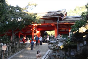 春日大社の風景