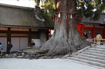 春日大社の風景