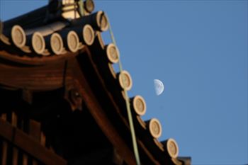 春日大社の画像