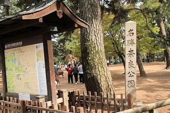 奈良公園入口の風景