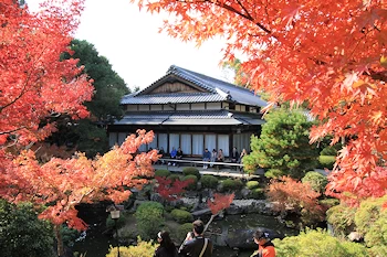 奈良公園吉城園の風景