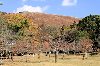 奈良公園猿沢池の風景